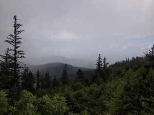 A day hiking in the foothills that surround charming Freiburg, mountain storm rolling in.
